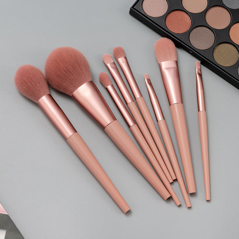 Professional Makeup Brush Set - face and eye brushes